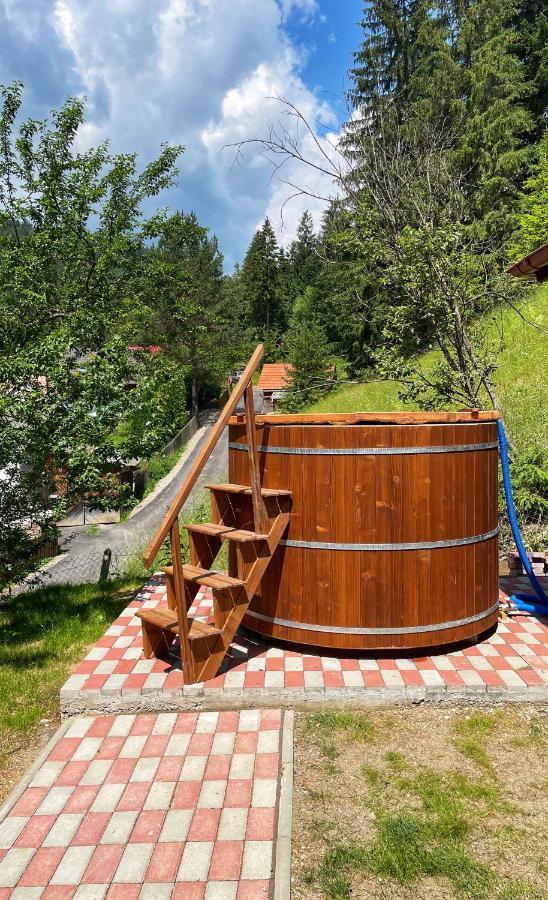 Casa de vacanță Cheșa Borsec Exterior foto